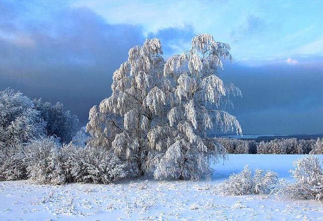  Autors: Fosilija Ziemas bildes.