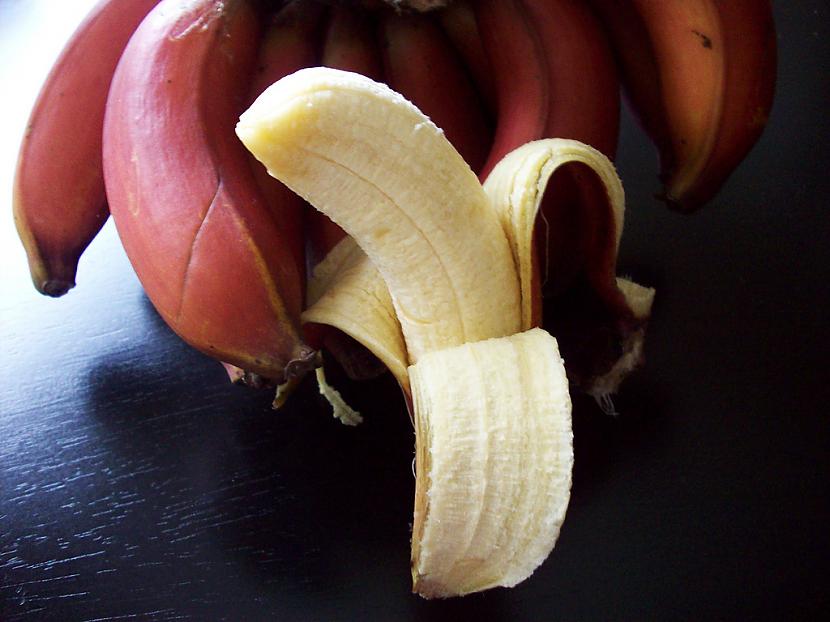 Banāni mēdz būt ne tikai... Autors: paradisegirl 20 interesanti fakti par banāniem