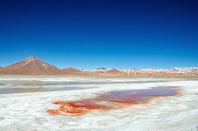  Autors: Fosilija Asins (kalorodo) lagūna Bolīvijā.
