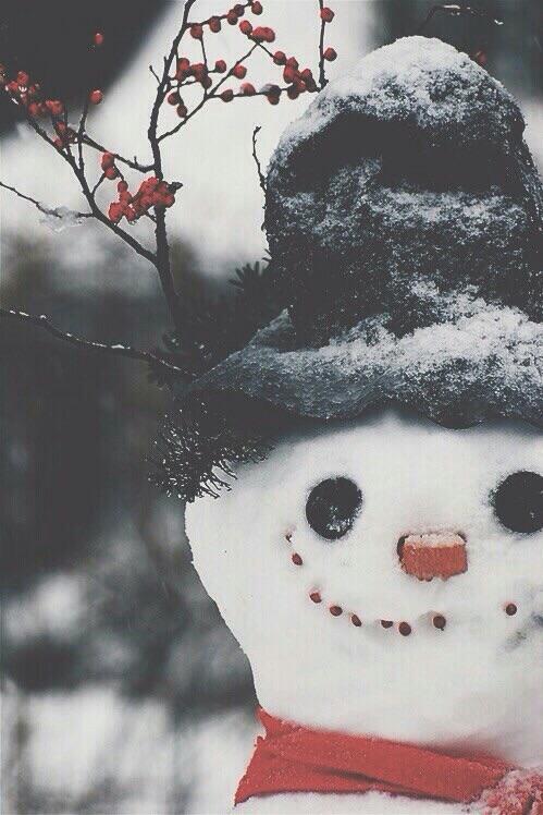  Autors: KwonDarin Winter Wonderland.