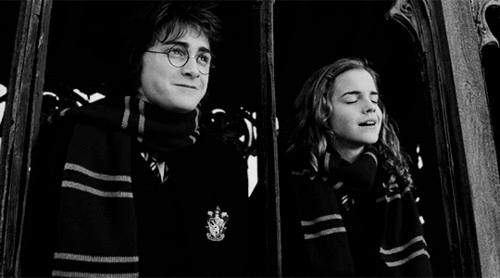 Hermione Puckle Neville Puff... Autors: Kumelīte Fakti, kurus Tu nezināji par Hariju Poteru.