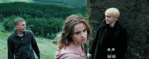 Aina kurā Hermionei nācās... Autors: Kumelīte Fakti, kurus Tu nezināji par Hariju Poteru.
