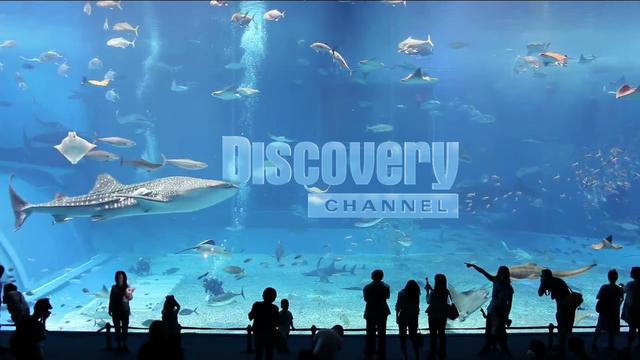 Lielākā daļa Discovery Channel... Autors: FINE GoPro vēsture 2002. - 2015.