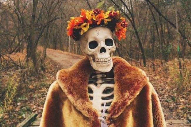  Autors: matilde Instagram: Skelets kā sieviete. (Parodija)