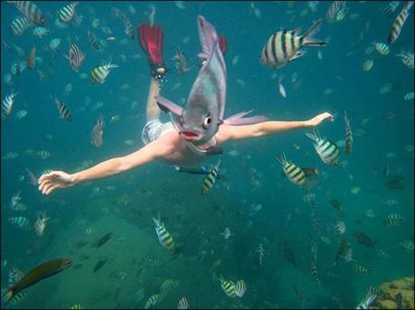  Autors: Fosilija 13 visu laiku smieklīgākās zemūdens fotogrāfijas