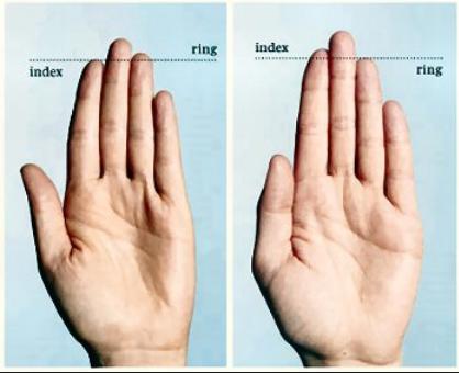 9 9 Pirkstu garuma... Autors: Fosilija 10 interesanti, nedzirdēti fakti par TESTOSTERONU!