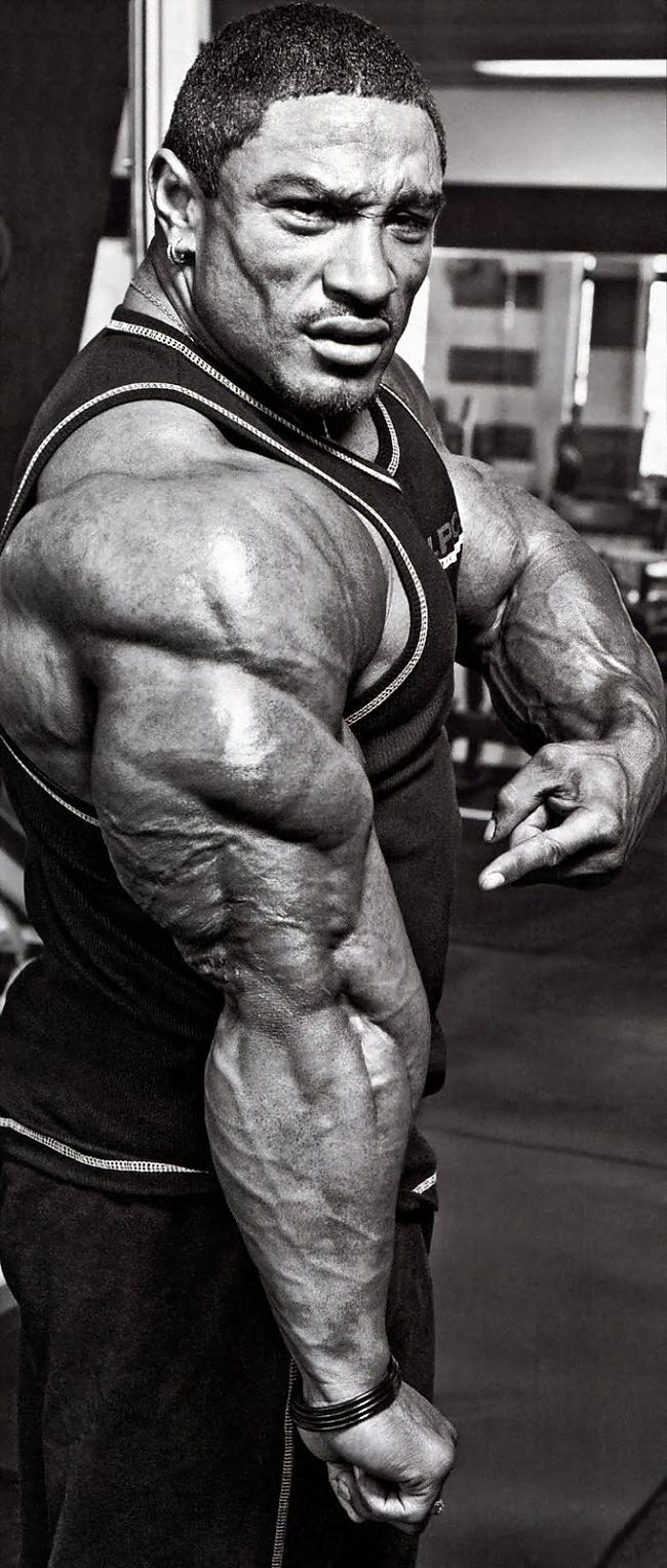  Autors: Stallion Roelly Winklaar.