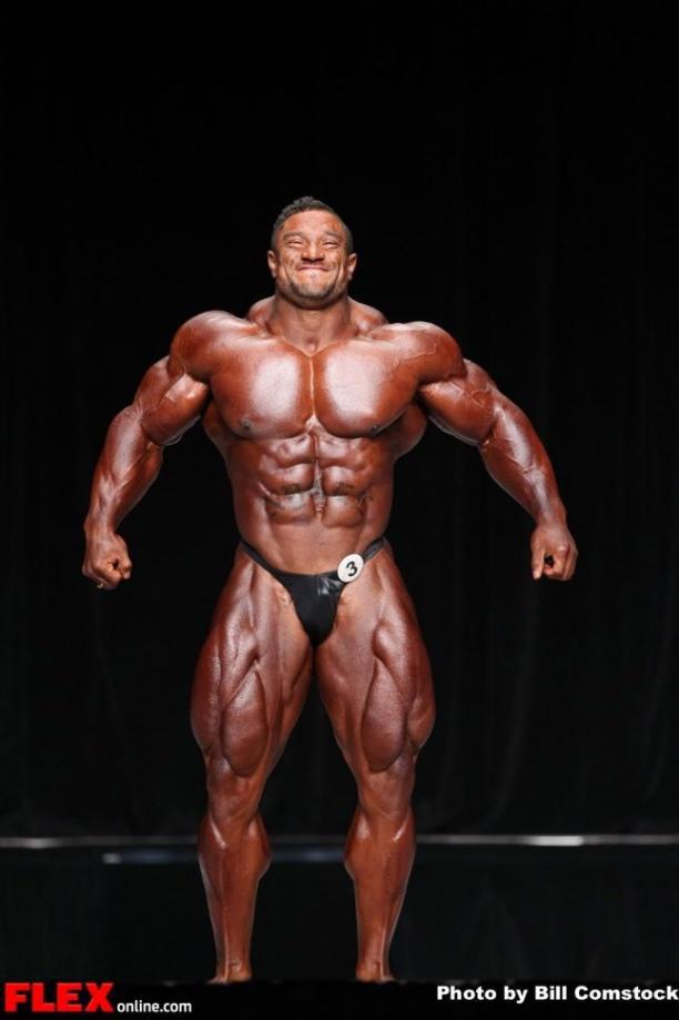  Autors: Stallion Roelly Winklaar.