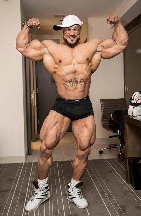  Autors: Stallion Roelly Winklaar.