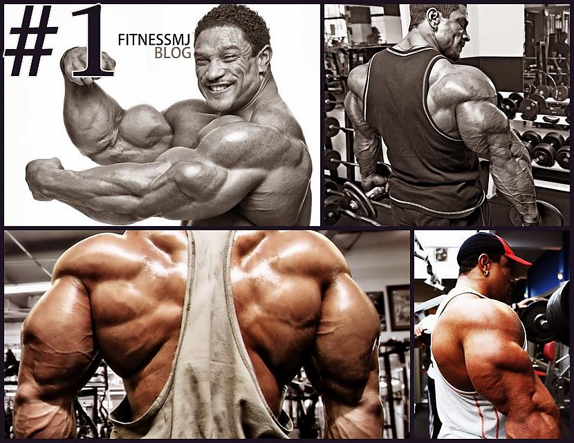  Autors: Stallion Roelly Winklaar.