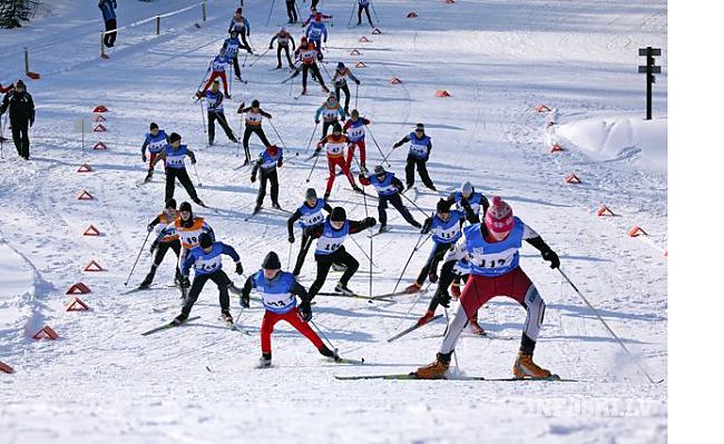 305 distanču slēpotāju ir... Autors: Owl Star Fakti par sportu.