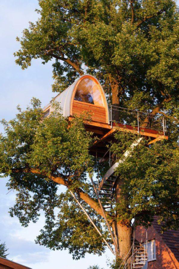  Autors: Hello Pusaudžu sapnis,forša māja kokā.