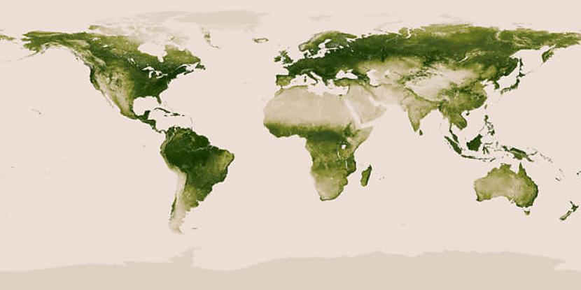 Scaronajā kartē paradīta augu... Autors: Jocins Spocins Dažādi fakti par pasauli attēloti interesantās kartēs!