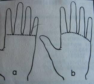 Pirkstu novietojums plaukstāA... Autors: ShadowApollo Ko stāsta cilvēka plauksta?