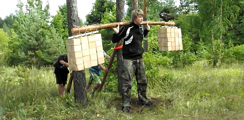 Kačalka mežā. II