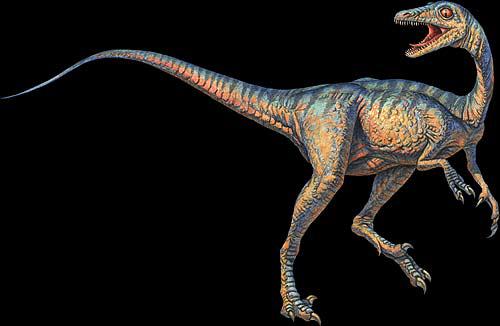 Stenonihozaura smadzenes bija... Autors: Tourist Reptoīdi- noklusētā patiesība!