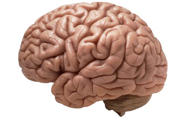 Cilvēka smadzenes izmanto 20... Autors: LvPičuks Fakti, kurā ir iesaistīts arī tavs ķermenis