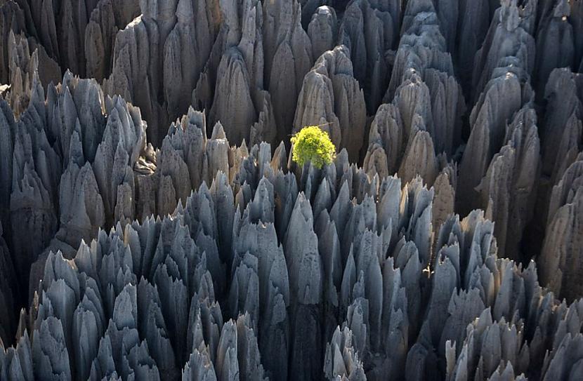Tsingy de Bemaraha akmens mežs... Autors: vodkam 10 pārsteidzošas, cilvēku neskartas vietas uz planētas.