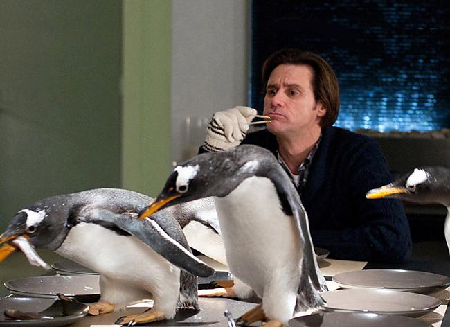 Pingvīni ir daudzu cilvēku... Autors: sancisj Eksotiski mājdzīvnieki, kurus tu gribētu savā īpašumā.