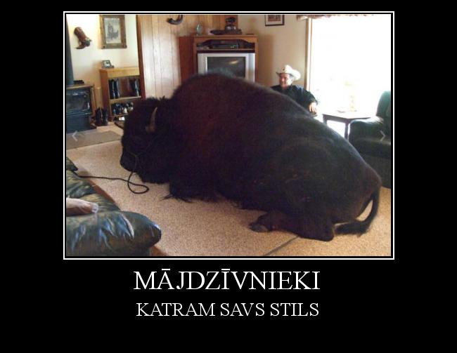  Autors: Slinkais Stārķis Mājdzīvnieki