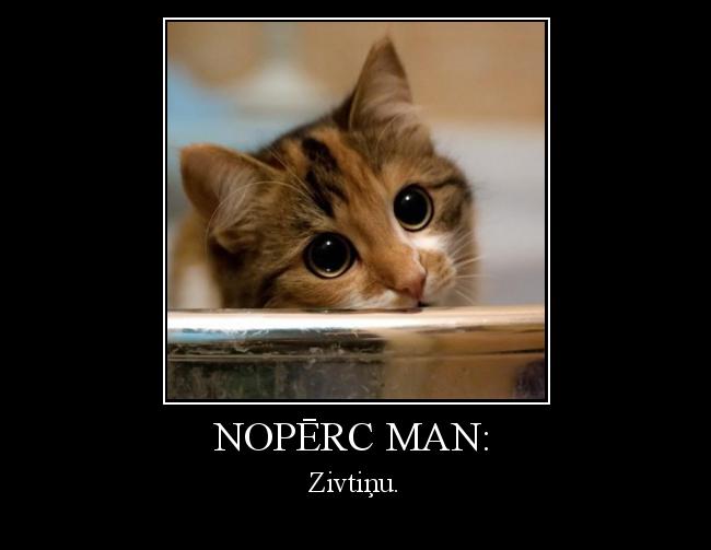  Autors: Sirsniņa 13 Nopērc man: