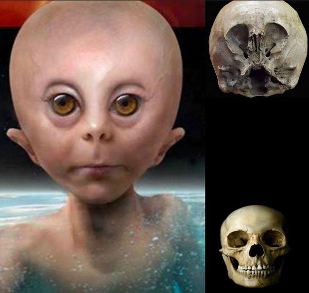 1930 gadā Meksikā pilsētā ar... Autors: SIDRIX 5 dīvainākie galvaskausi kas atrasi uz šīs planētas!