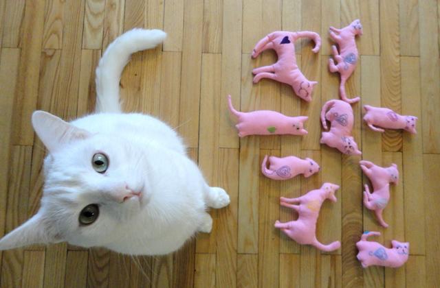  Autors: Fosilija 6 pārsteidzoši fakti par kaķiem