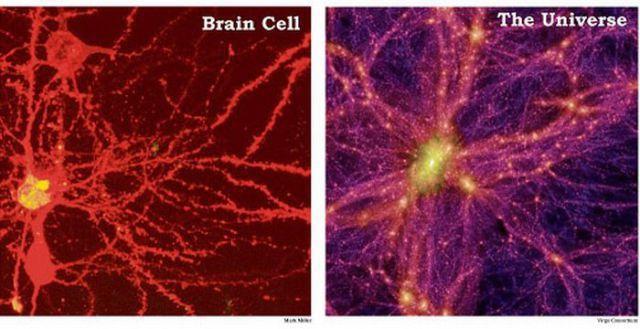 Cilvēka smadzeņu šūnas izskats... Autors: twist Deram, ka Tu šo nebiji pamanijis?