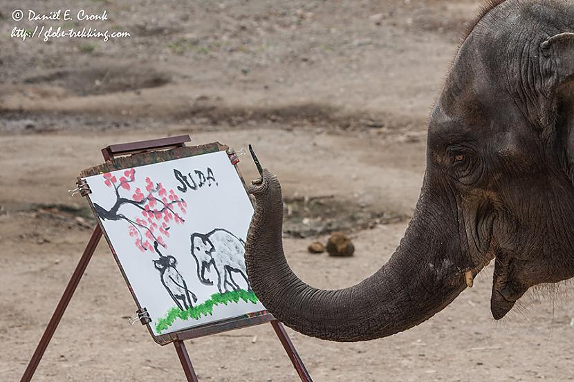  Autors: Lords Lanselots Tev tas jāredz!! Zilonis uzzīmē ziloni!!!