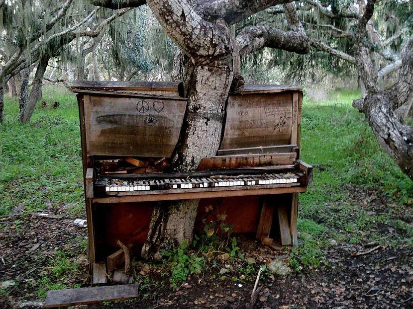 Koks klavierēs Autors: Prāta Darbnīca Pamestais skaistums (1.daļa)