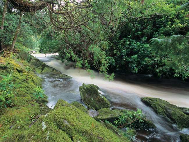  Autors: Paradoks Teikas par 5 Īrijas upēm
