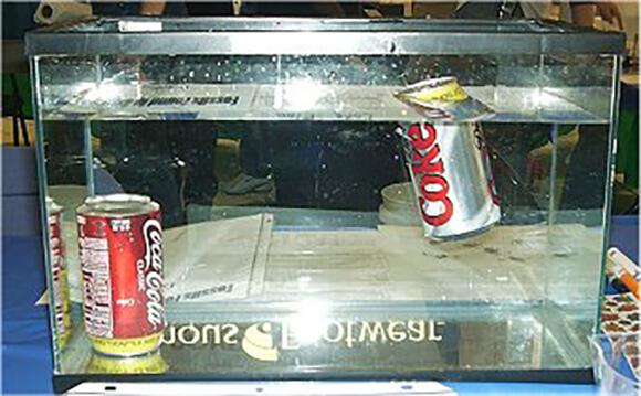 Parastā CocaCola bundžiņa... Autors: Fosilija fakti par coca cola