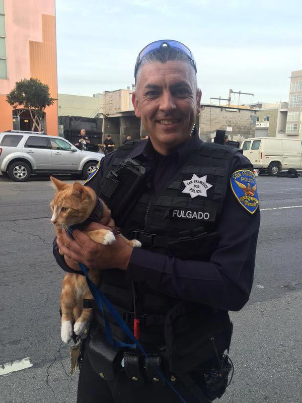 45 minūtes pēc kaķa... Autors: zeminem Policisti izmantoja kaķi, lai atrunātu puisi no pašnāvības.