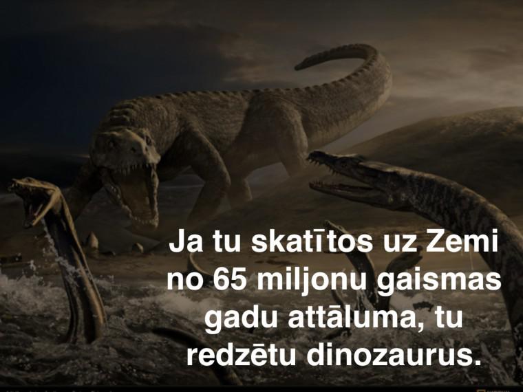 nbsp Autors: Fosilija 20 gandrīz neticami fakti, par kuriem padomāt pirms gulētiešanas.