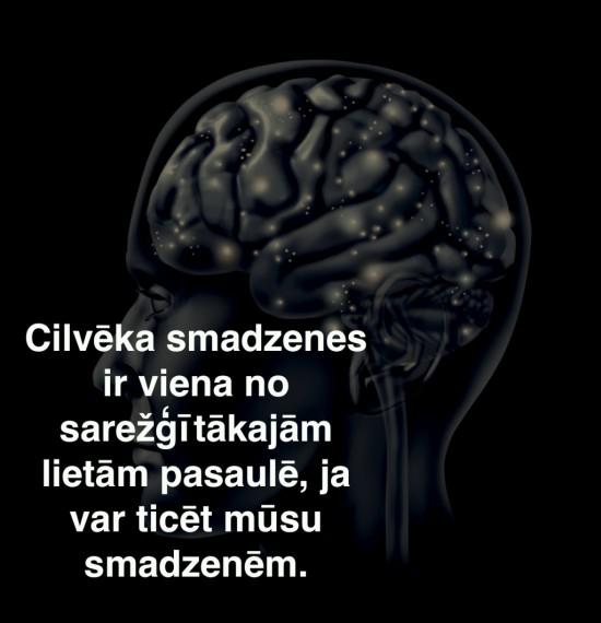  Autors: Fosilija 20 gandrīz neticami fakti, par kuriem padomāt pirms gulētiešanas.