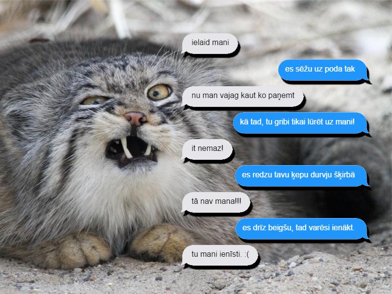  Autors: matilde Kaķis raksta SMS saimniekam. Tak var pasmieties!