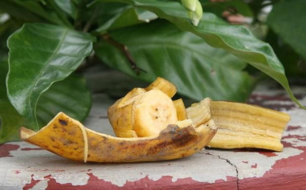 Ja daarzaa noliek banaana mizu... Autors: ezkins 15 neticami veidi, kā izmantot banānu mizas