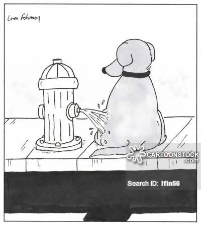 Fire hydrant peeing on a dog Autors: ArmandsT1 Nedaudz citādākas bildes 6