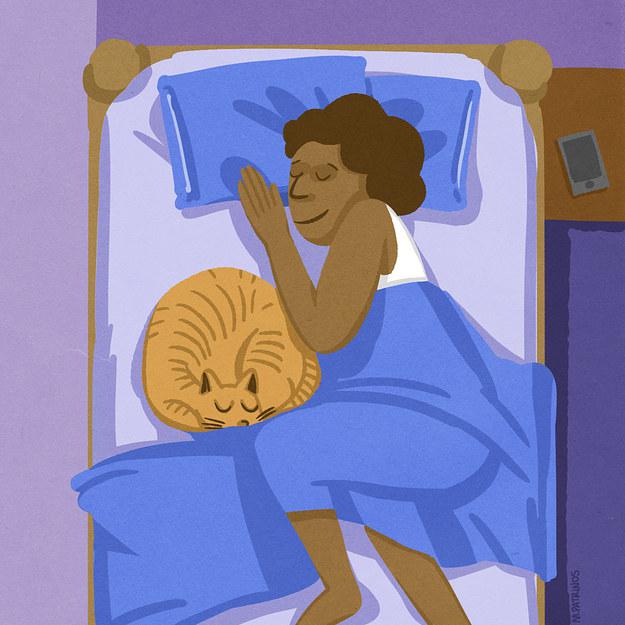 Jūs vairs nejutīsies vientuļš Autors: MonaLisa. Kā izmainīsies tava dzīve kad mājās ienāks kaķis.