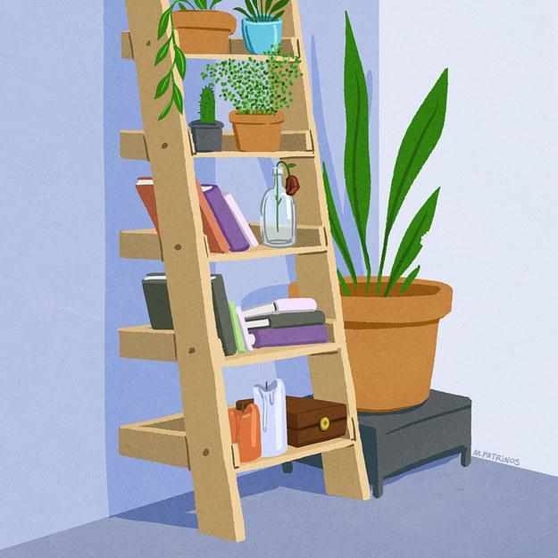 Istabas augi pārcelsies par... Autors: MonaLisa. Kā izmainīsies tava dzīve kad mājās ienāks kaķis.