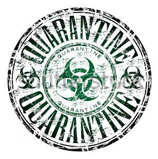  Autors: infectedgrrl Quarantine