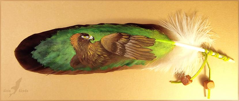 Ērglis Apgleznota ērgļa spalva Autors: Fosilija AlviaAlcedo māksla