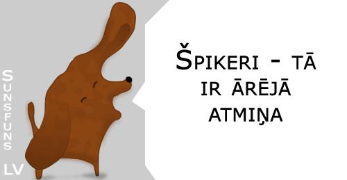 scaronpikerinbsplabsnbsp Autors: bridžeta špikeri kontroldarbam.