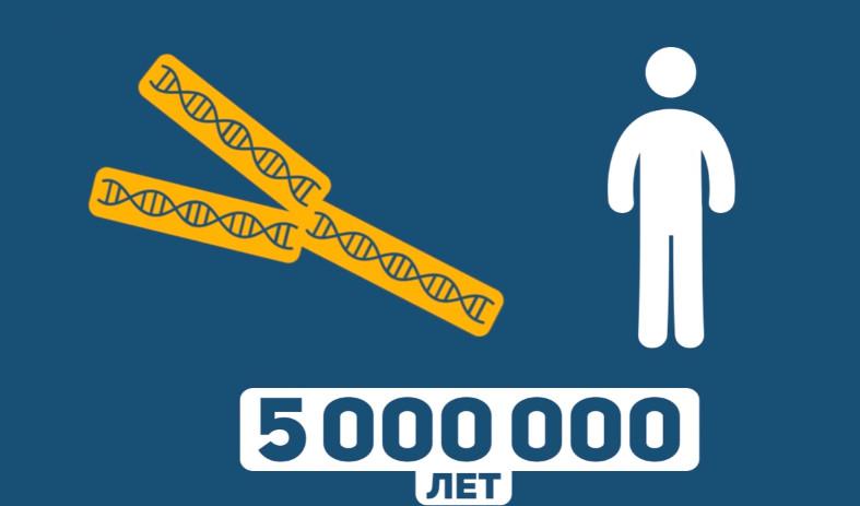 Pēc 5 000 000 gadiem telomēras... Autors: Spocinja Kas notiks ļoti tālā nākotnē?