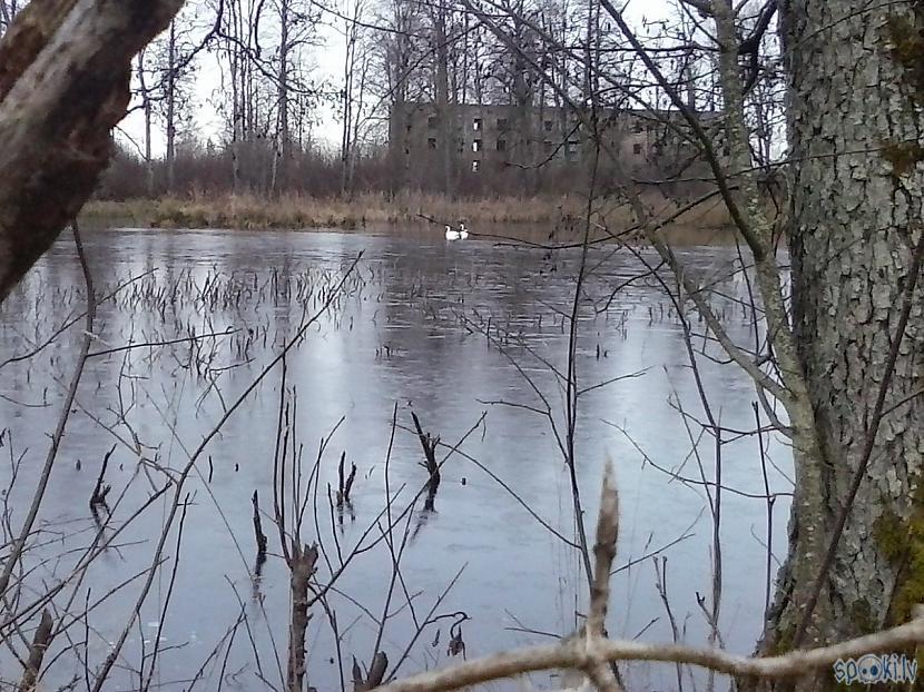 Tā nu tas ir sanāciska šikais... Autors: Fosilija Pilsblīdene...