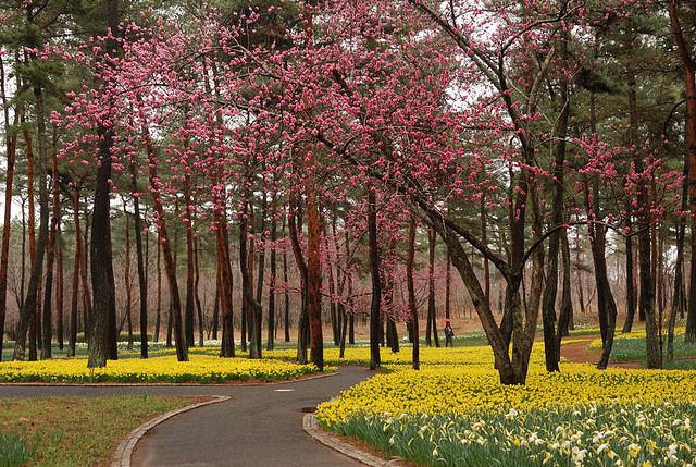 5Parks Hitači atrodas pilsētā... Autors: pauinja2003nbov 10 Dažādi dabas fenomeni.