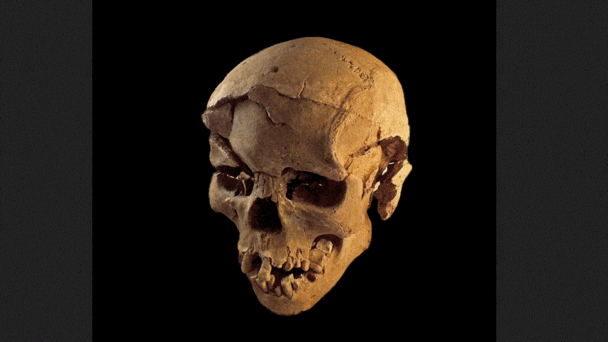 Vīriescarona galvaskauss Ir... Autors: Kapteinis Cerība Atklāta 10000 gadus veca masu slepkavības vieta Kenijā pie Turkanas ezera.