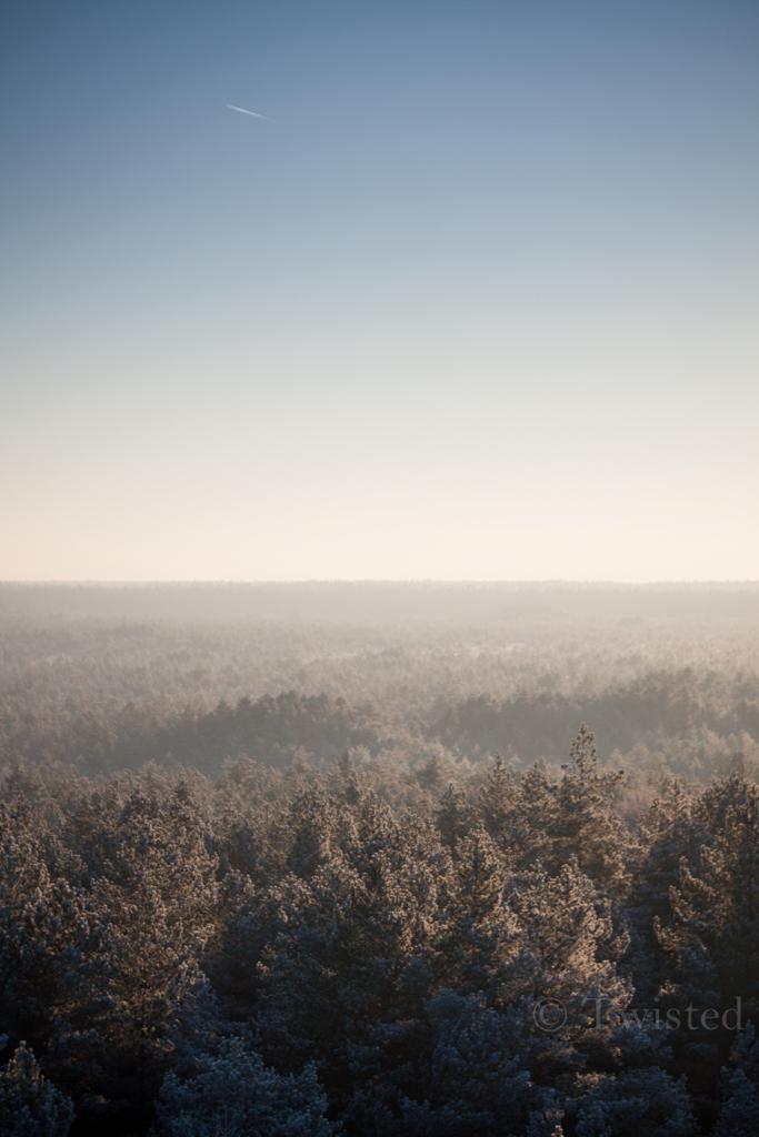 Pirmie aukstie ziemas rīti Autors: twisted No vasaras līdz ziemai (pašfoto)