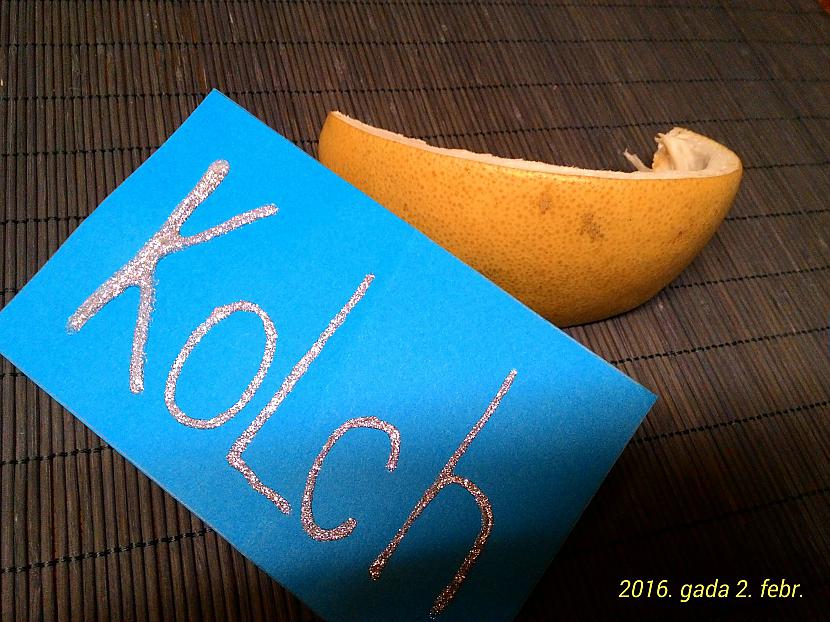  Autors: Kolch AS Dzelens