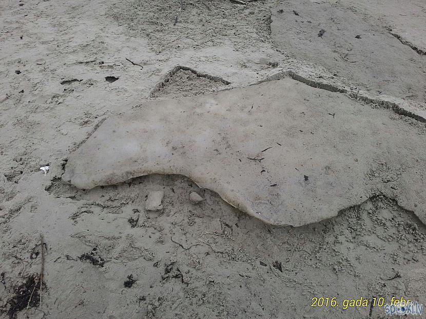  Autors: Kolch Atradu dzitaru jūras krastā.